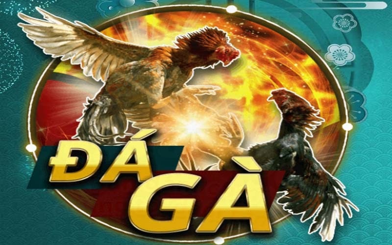 Hướng dẫn cách chơi game đá gà mu88 luôn thắng 